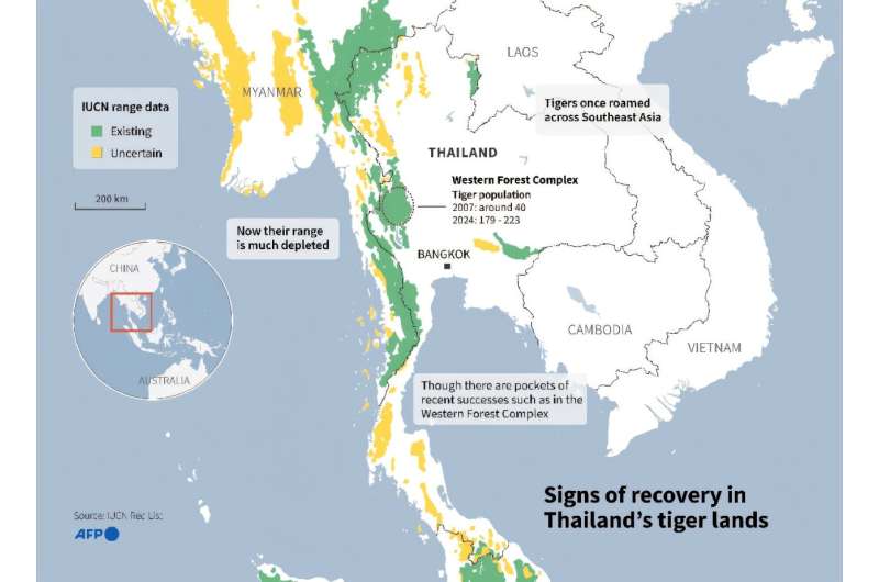 Thailand's tiger lands