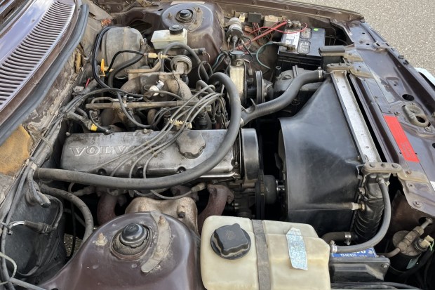 No Reserve: 1984 Volvo 244 4-Speed