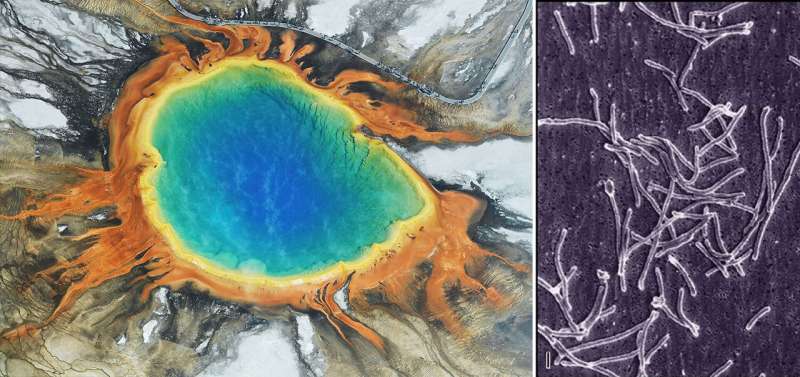 How the US became a science superpower