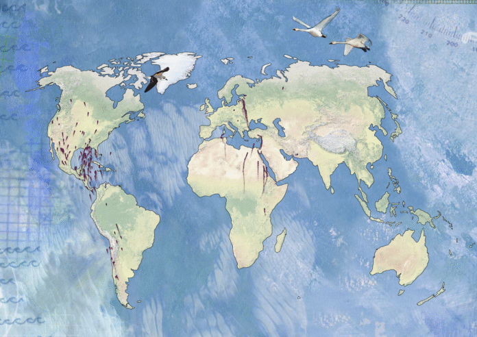 Bird-migration-flight-paths-shifting-with-climate-–-FlowingData.png