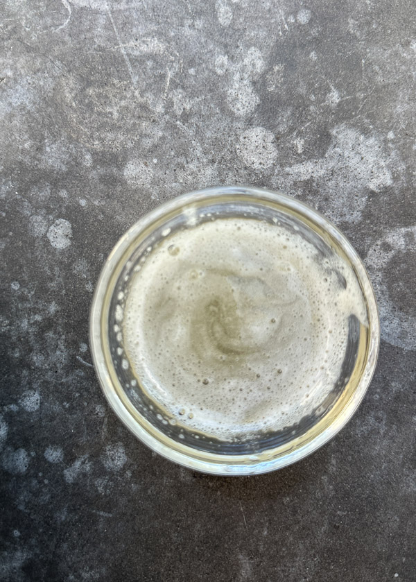 Creamy Ginger Pumpkin Mousse made with pumpkin, warm spices, fresh ginger, and homemade whipped cream. An easy, egg-free fall dessert perfect for Thanksgiving.