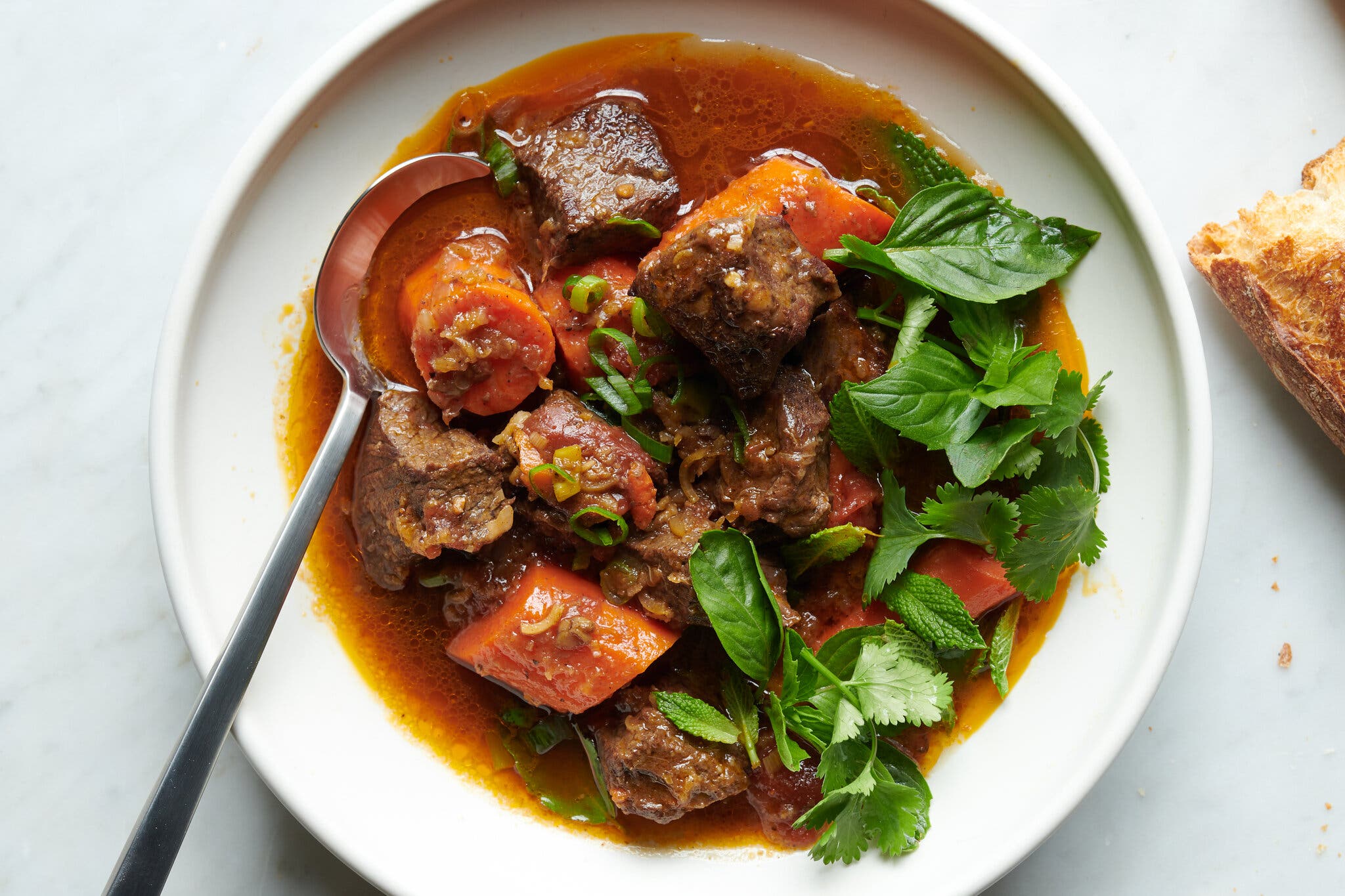Close-up of a white bowl containing beef chunks and carrots in a dark red sauce, garnished heavily with fresh herbs and served with a silver spoon.